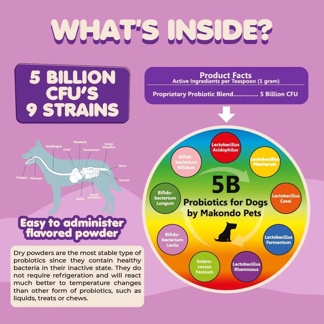 Canine 9-Strain Probiotic Powder