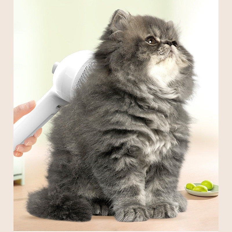 Pets Hair Remover Brush