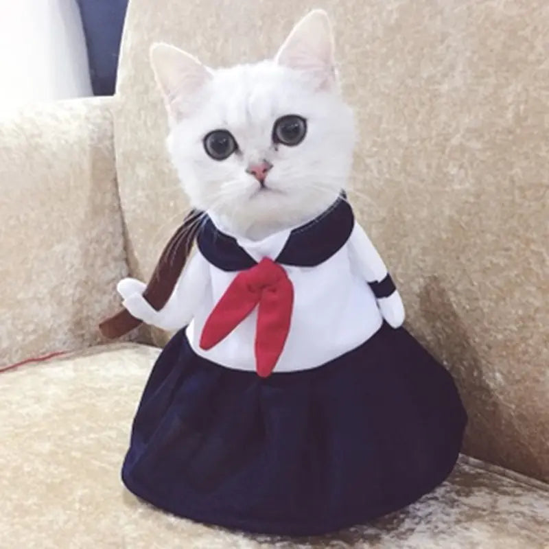 Chic Pet Outfits and Costumes