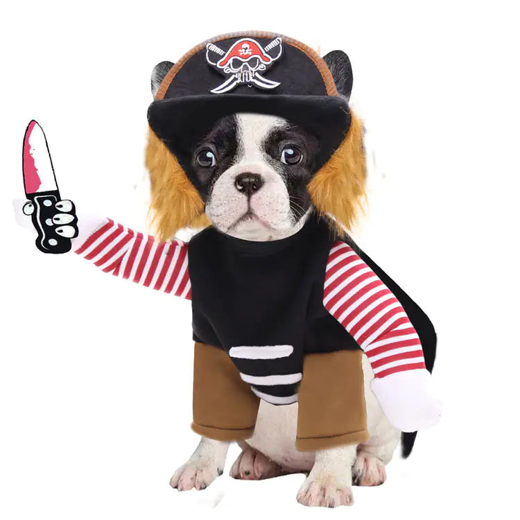 Swashbuckling Pet Halloween Costumes