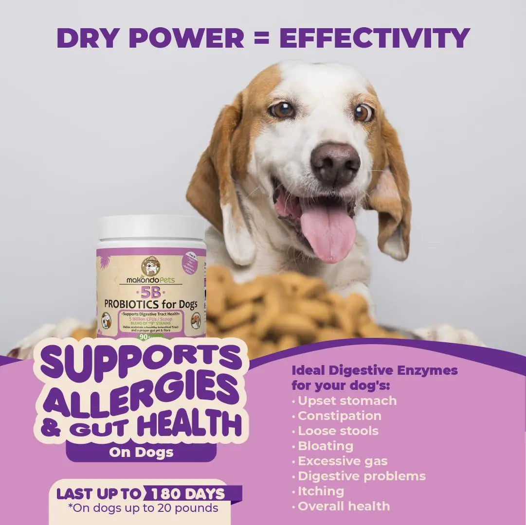Canine 9-Strain Probiotic Powder