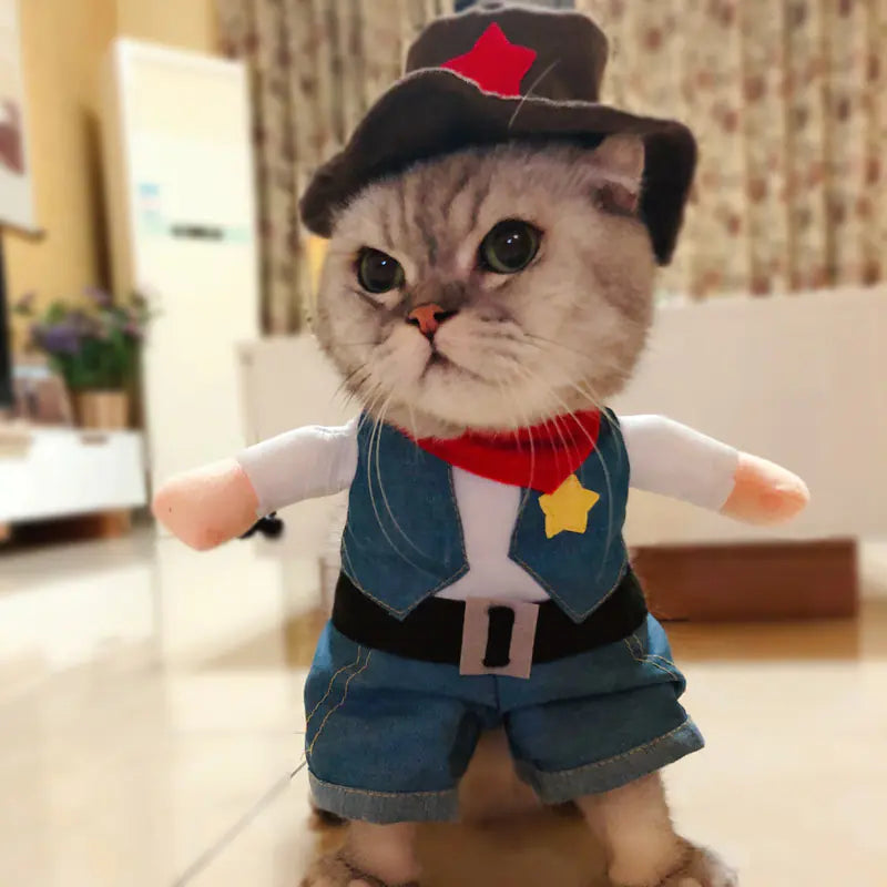 Chic Pet Outfits and Costumes