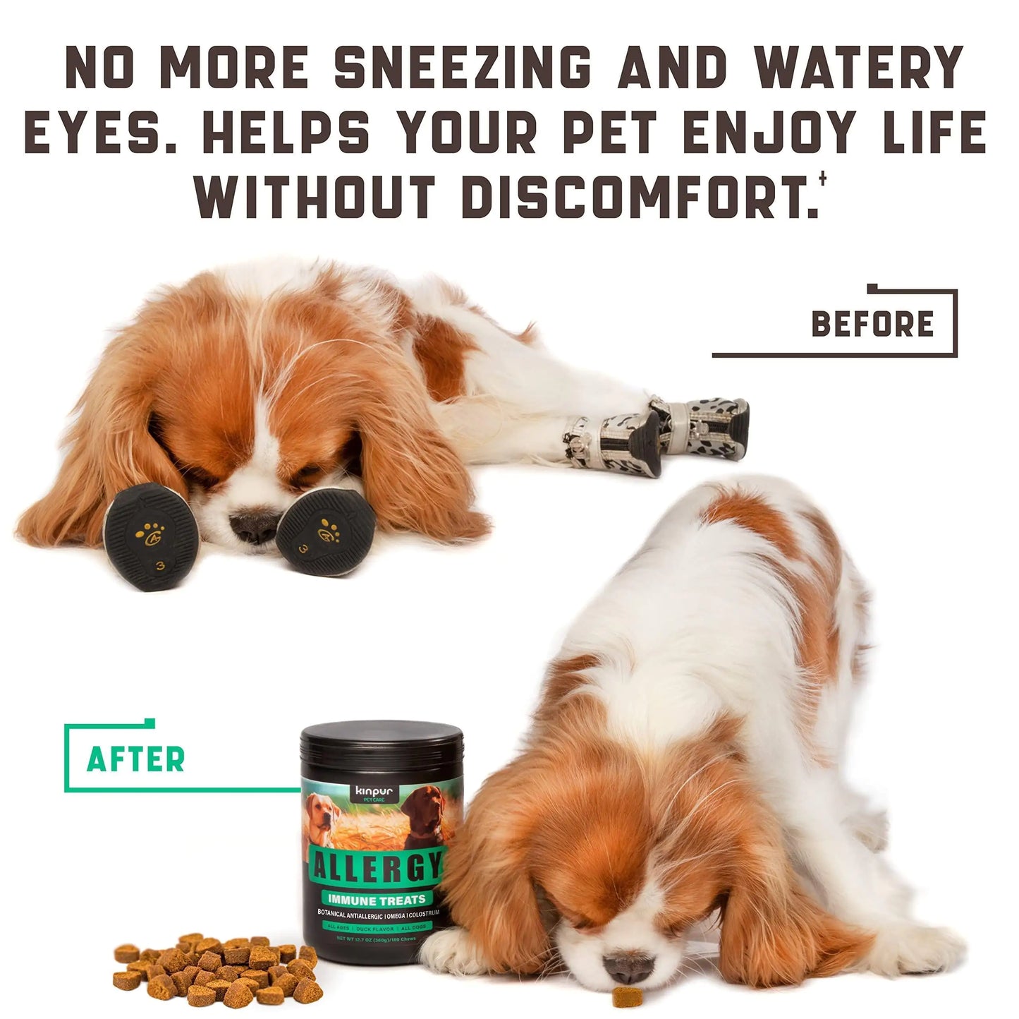 Aller-Ease Dog Chews with Omega & Probiotics