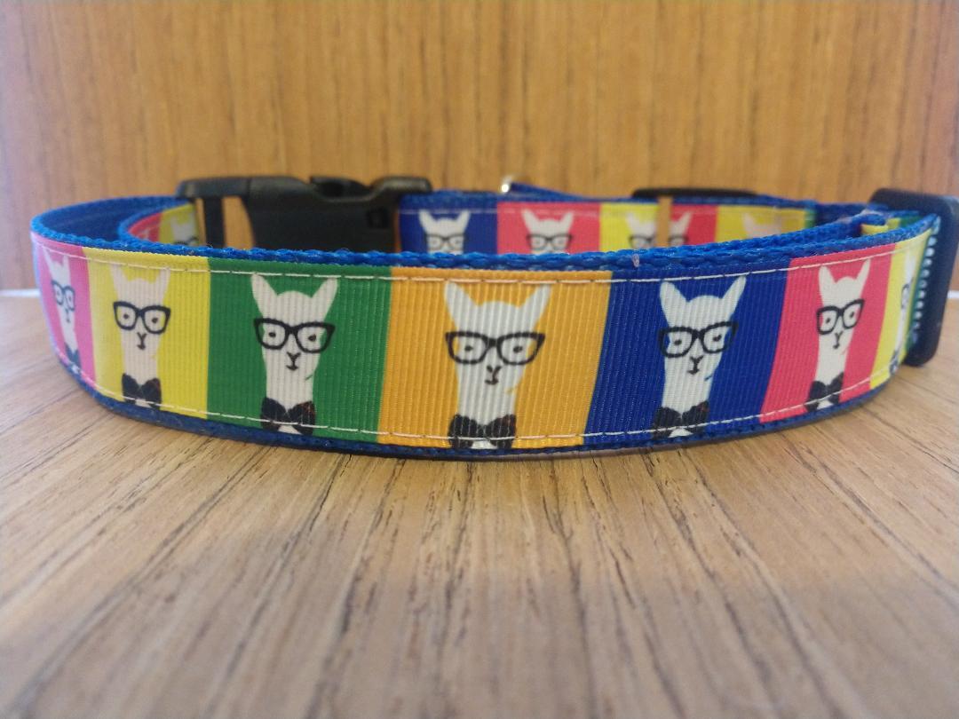 Leash Hipster Llamas