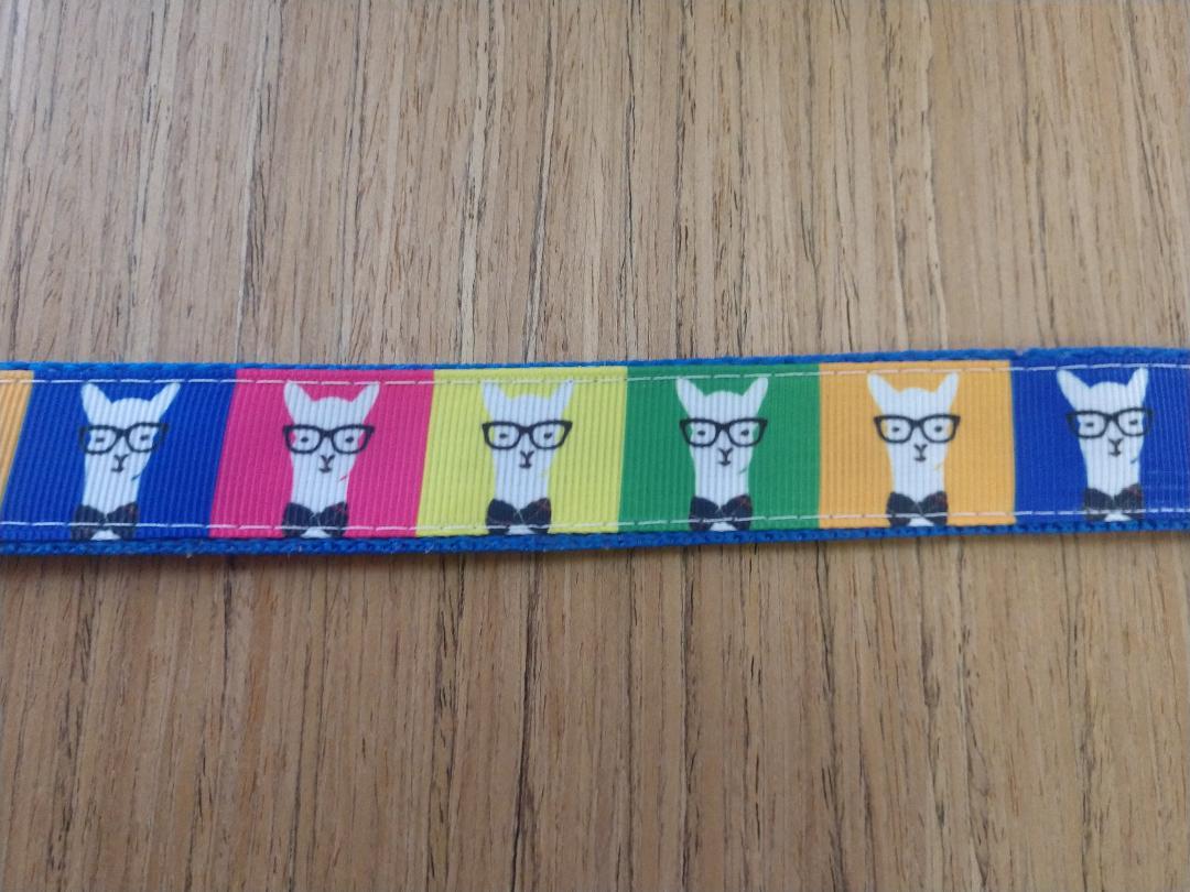 Leash Hipster Llamas