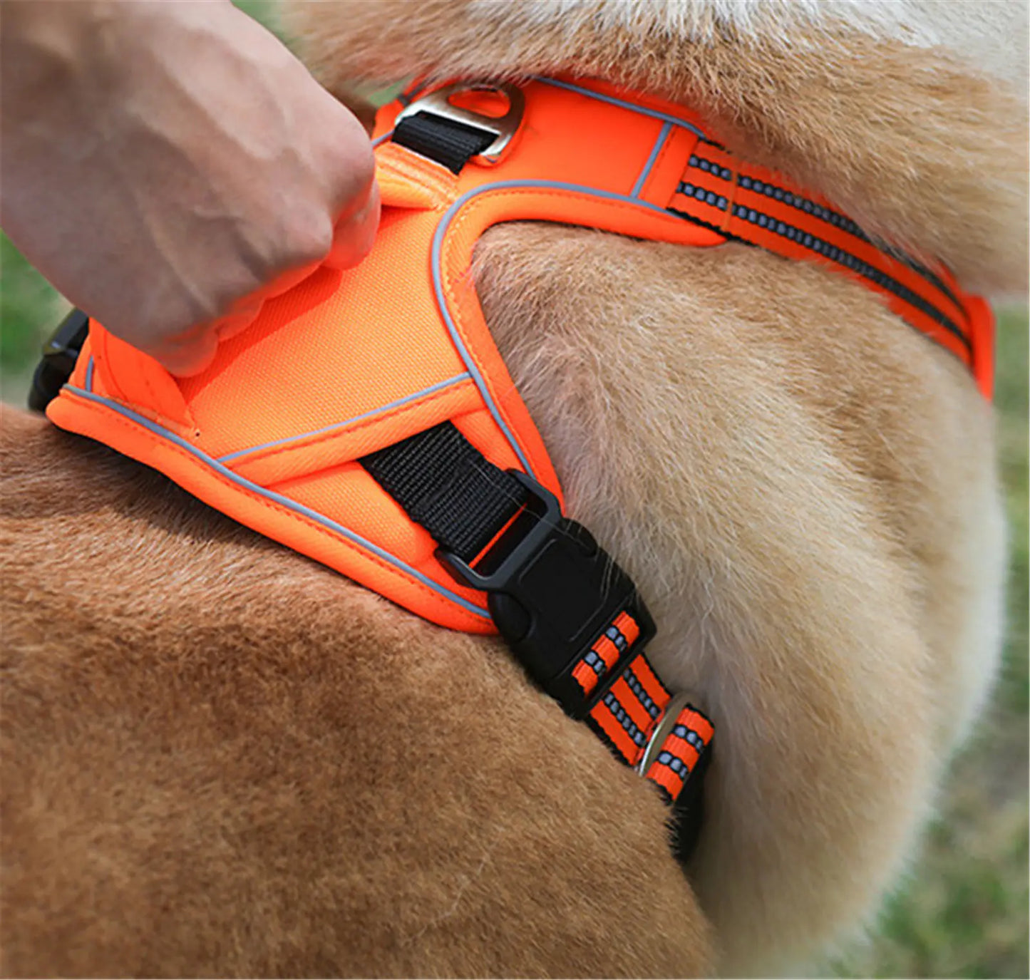 Waterproof Pet Harness w/ Handle