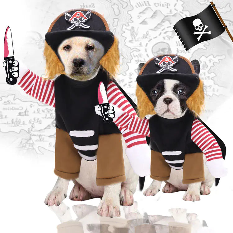 Swashbuckling Pet Halloween Costumes