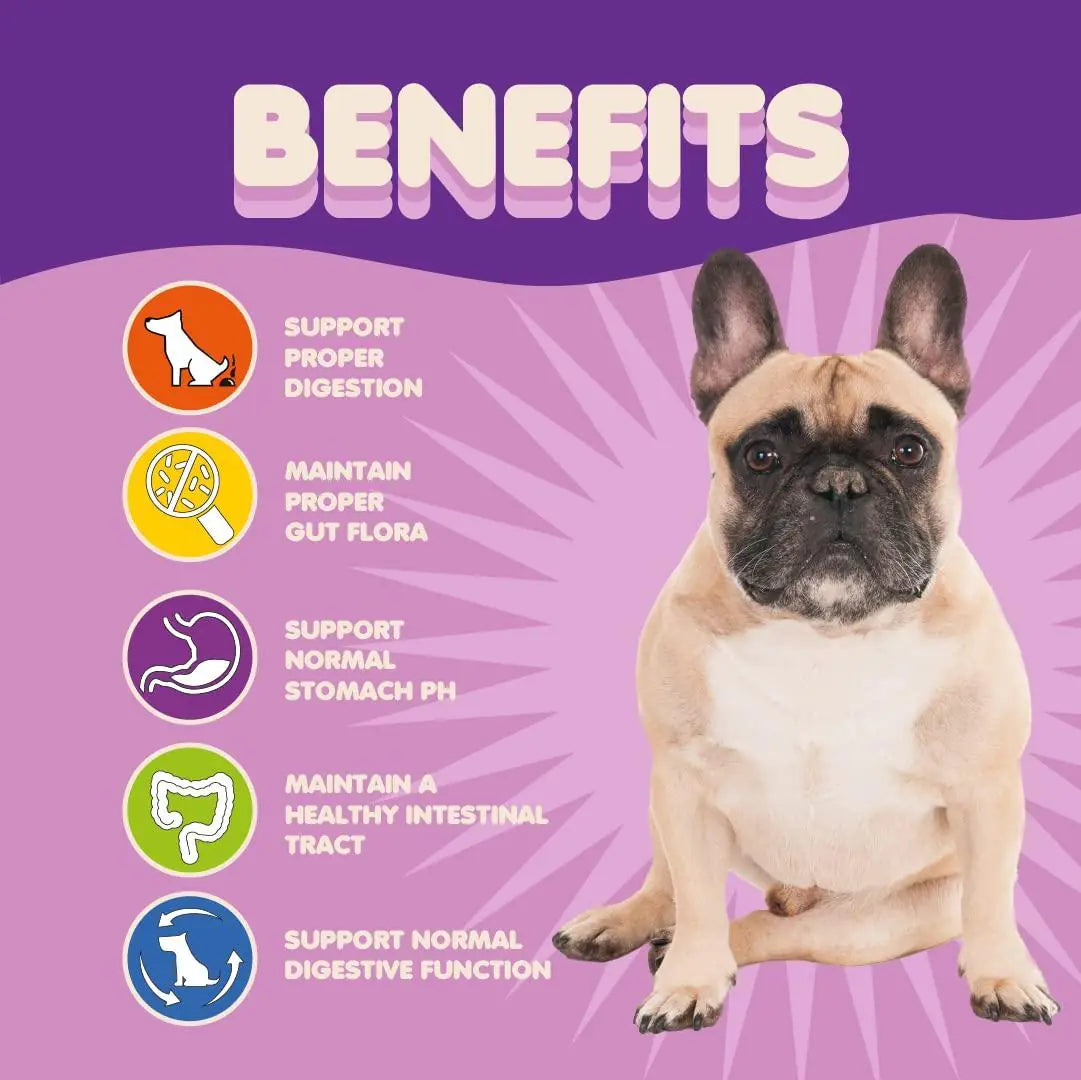 Canine 9-Strain Probiotic Powder