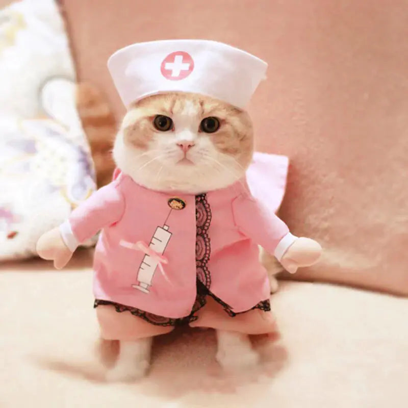 Chic Pet Outfits and Costumes