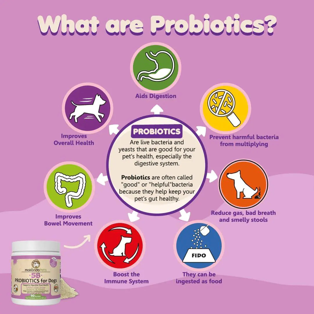 Canine 9-Strain Probiotic Powder