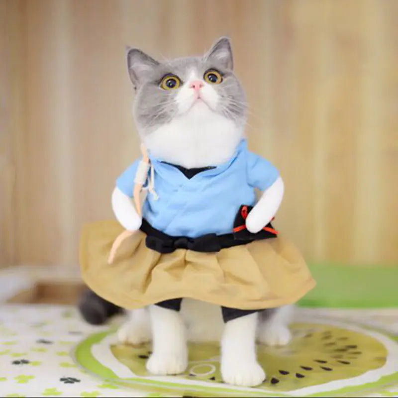 Chic Pet Outfits and Costumes